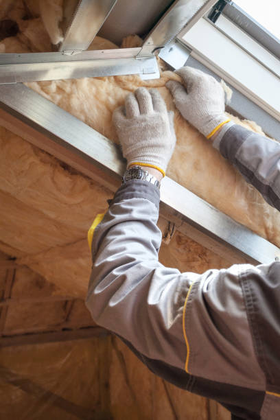 Best Insulation Installation Services in Randolph, NE